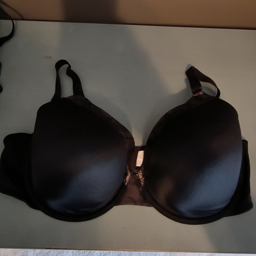 Warner's bra